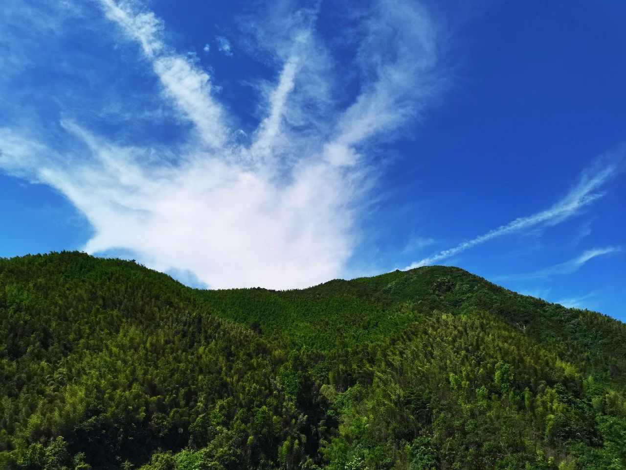 1623027657572494.jpg 12.jpg