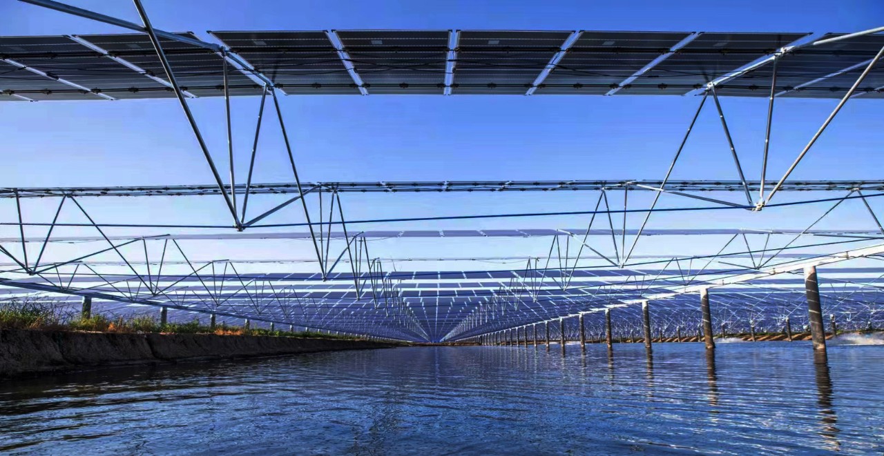 1654487723411426.jpg 3.jpg